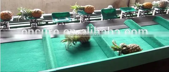 Pineapple Grading Machine Sorter Grader photo-2