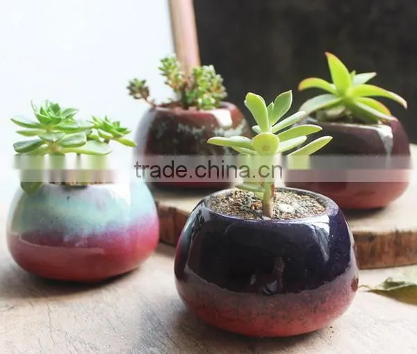 New Christmas Indoor Decor Glazed Small Succulent Pot photo-2