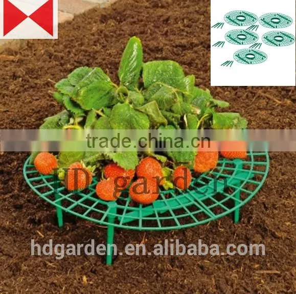 Strawberry Supports - Fruit Clean and Blemish-free photo-3