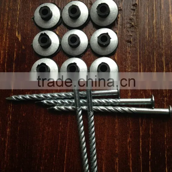 Galvanized Roof Screw Nail With Plastic Cap photo-4