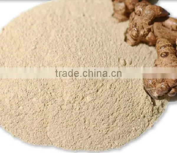 Factory Supply Dietary Supplyment 100% Natural Panax Notoginseng P.E. / Wild Radix Notoginseng Extract photo-4