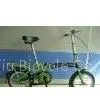 Folding Bike