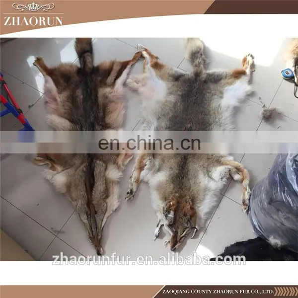 Whole Coyote Skin Coyote Fur for Garment photo-6