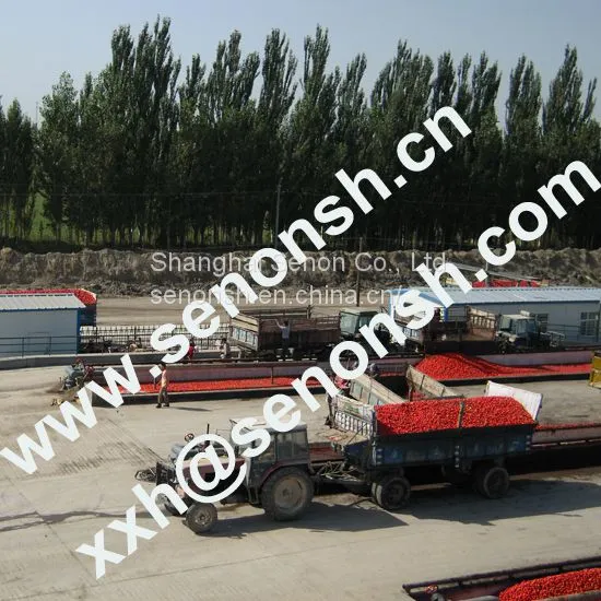 Good Manufacturer Tomato Paste Production Line photo-4