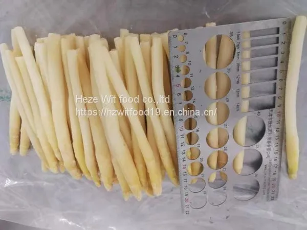 IQF White Asparagus Spears L Grade Washing ,peeled ,blanching photo-3