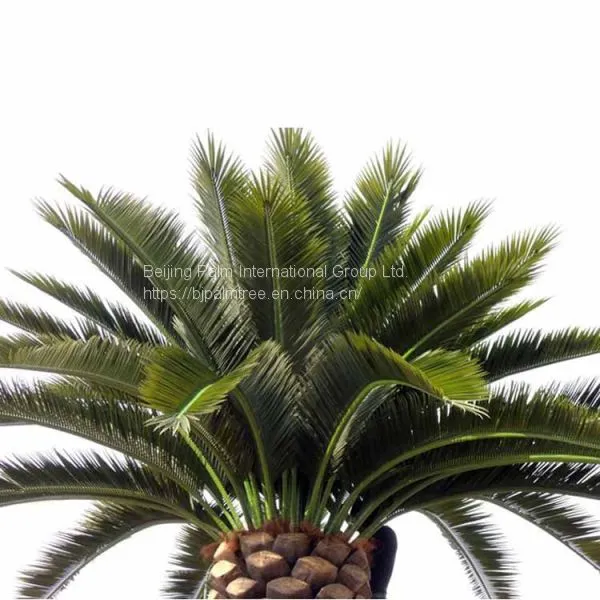 Artificial Date Palm photo-3