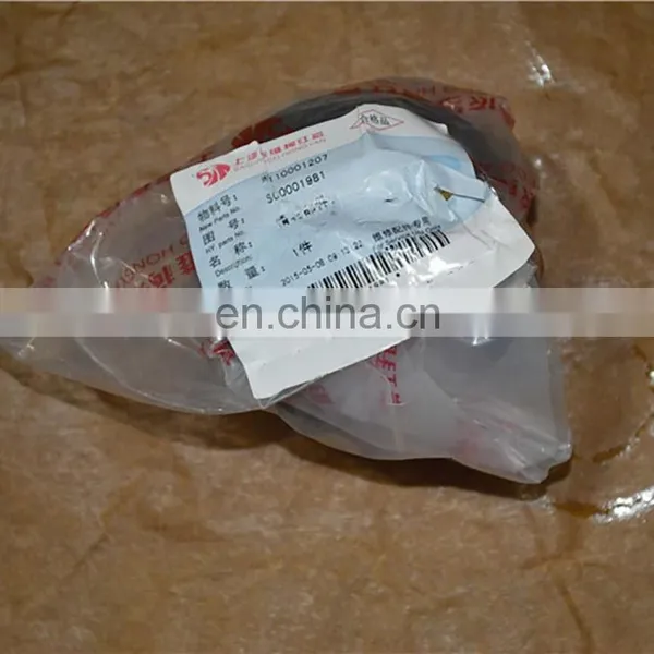 E12 Engine Idler S00001981 for SAIC IVECO HONGYAN GENLYON photo-3
