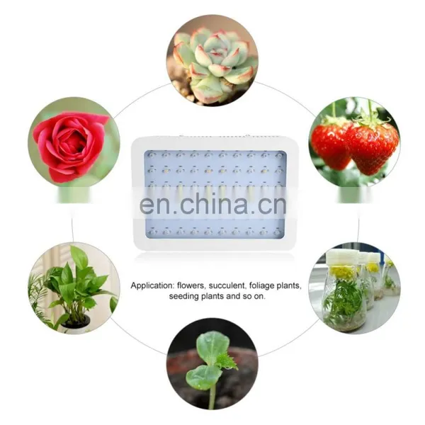 Full Spectrum 600 Watt Double Chip LED Grow Light For Hydroponics and Indoor Plants Veg Bloom photo-2