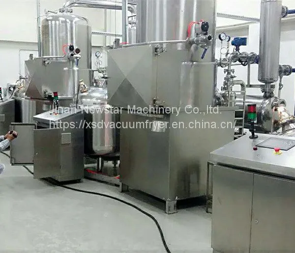 Vacuum Fried Fruit and Vegetables Chips Vacuum Frying Machine photo-4