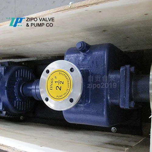 ZIPO no Blockage Horizontal Self-priming Pump Cast Iron Electric Sewage Pump ZZX or ZZW Type photo-3