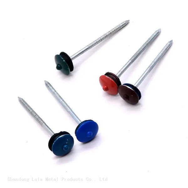 Galvanized Umbrella Head Roof Nails Umbrella Type Roofing Nail Umbrella Head Roofing Nail photo-5