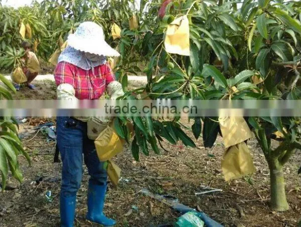 Different Sizes Fruit Protection Paper Bag photo-5