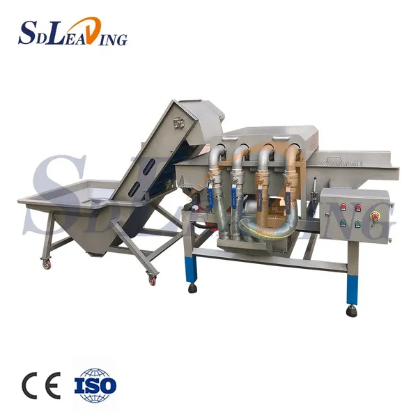 Turnkey Project Industrial Palm Dates Processing Machine Full Automatic Dates Washing Grading Pitting Packing Production Line photo-2
