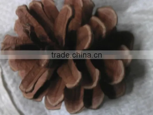 Christmas Tree Decoration Pine Cone photo-3