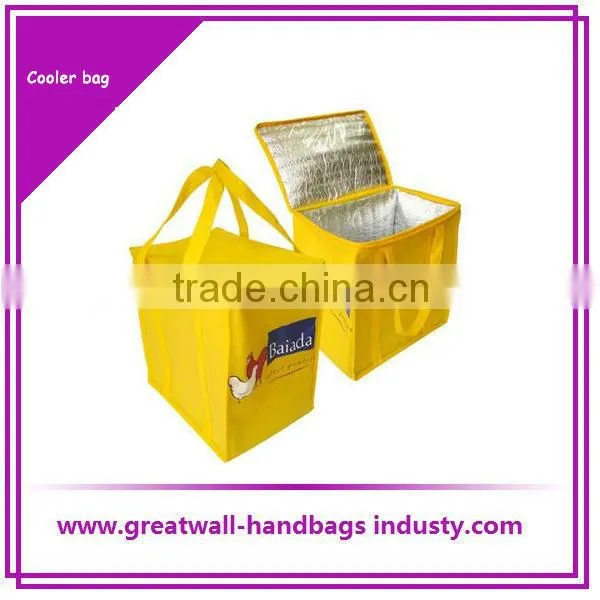 Fahsion Insulated Cooler Bag Picnic Cooler Bag
