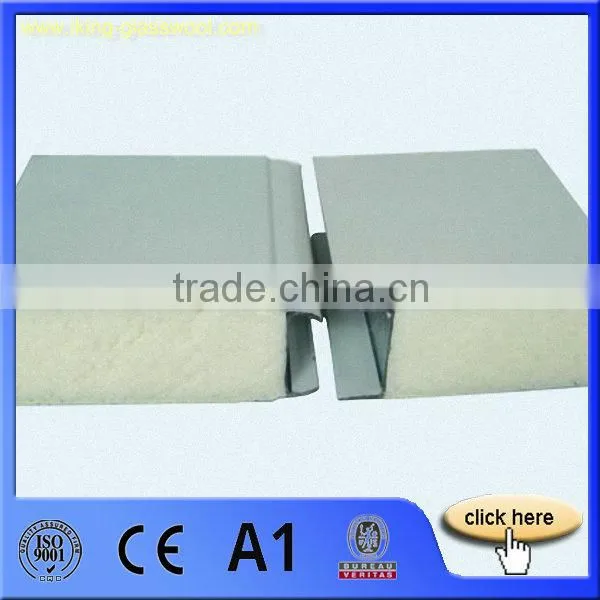 Insulated Sandwich Panel PU Foam Sandwich Panel photo-6