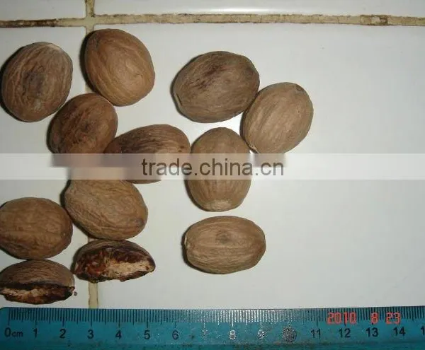 Nutmeg, Mace, Black/ Whitepepper, Galingale, Clove, Clove Stem,Turmeric, Cassia, Please Contact me