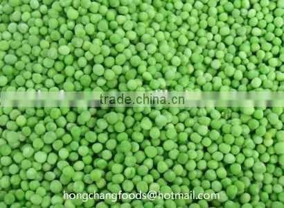 China High Quality IQF FROZEN GREEN PEA photo-2