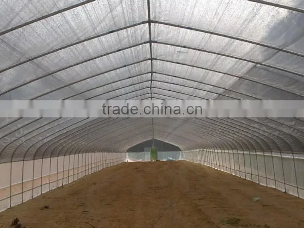 Agricultural Greenhouse Plastic Film With Different Specification photo-2