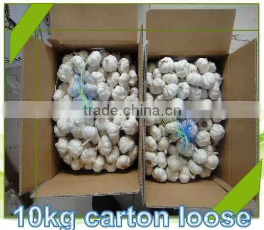 PURE GARLIC 2016 photo-3