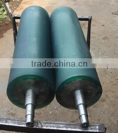 APL Immersion Roll photo-3