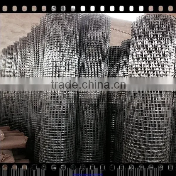 Best Quality Pvc Coated Welded Wire Mesh 3/4 Inch photo-3