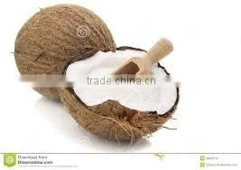 High Quality Vietnam High Fat Medium Desiccated Coconut From Interimex JSC photo-5