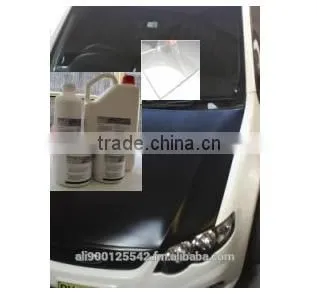 High Coverage Low Cost Tempoary Protective and Decorative Coatings photo-4