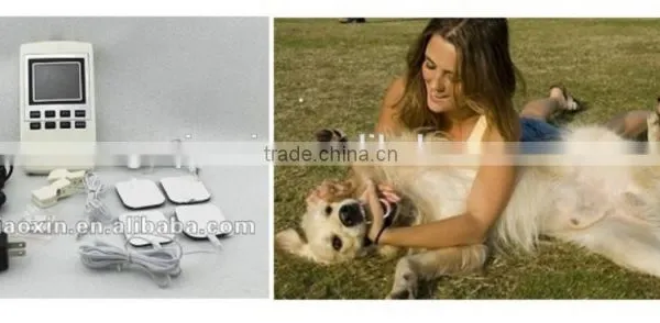 Veterinary Therapy With Pain Relief,massager for the Pet photo-5