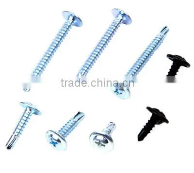 Modify Truss Head Self Drilling Screw photo-4