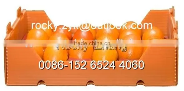 Corrugated PP Orange Package Box Packing Carton for Orange photo-2