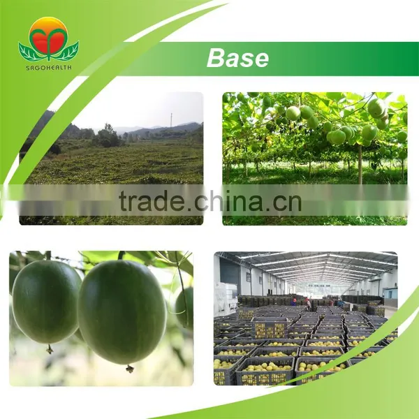 Competitive Price Luo Han Guo Extract photo-2
