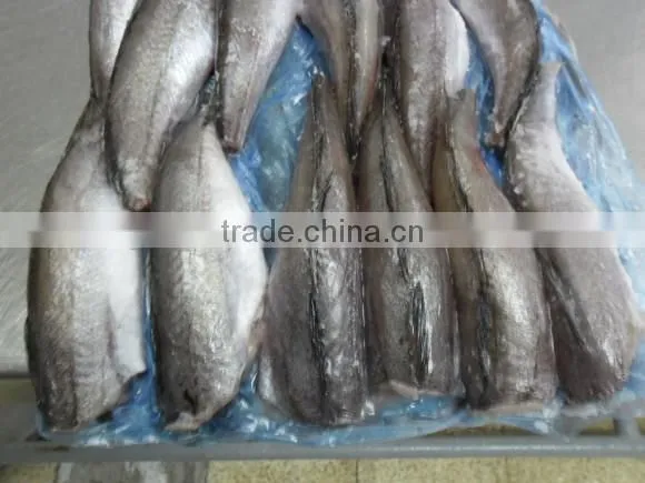 Frozen Hake HGT Head off Fish