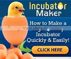 chicken eggs incubators and hatchers