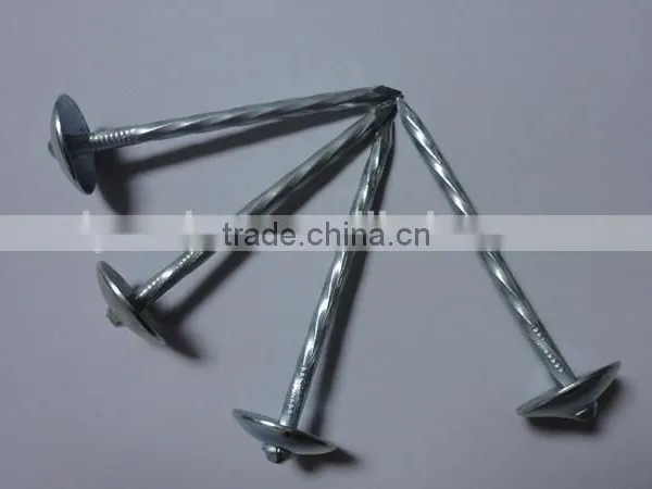 Hot Sales! China Factory Supply High Quality Galvanized Umbrella Head Roofing Nails photo-3