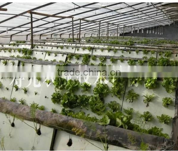 2016 Hot Sale Large Hydroponic Greenhouse photo-2