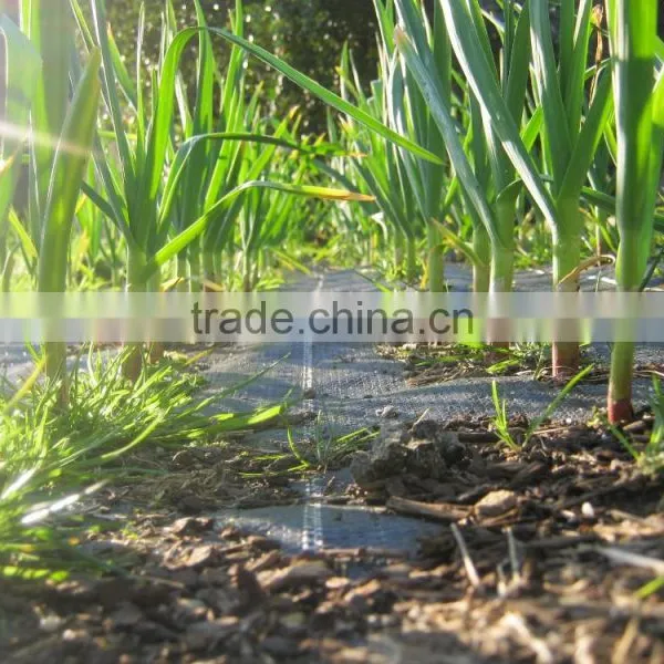 PP Plastic Anti Weed Mat photo-6