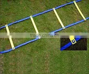 Fixed Agility Ladder