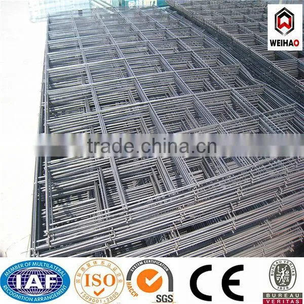 Quality and Economical Galvanzied Welded Wire Mesh photo-2