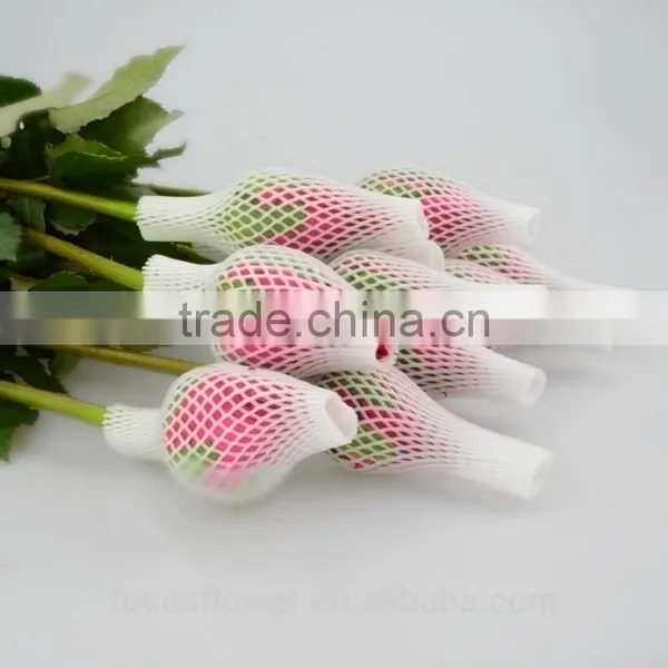 Natural Pink Rose Flowers Fresh Cut Flowers Big Pink Rose for Wedding Decoration photo-3