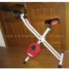 MAGNETIC BIKE
