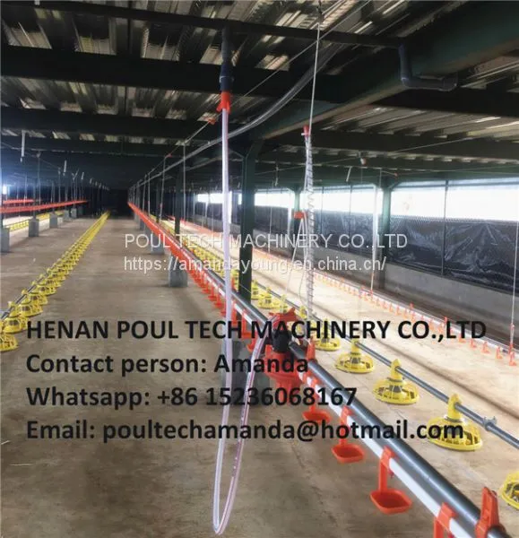 Cameroon Poultry Farm Automatic Broiler Chicken Plastic Salt Floor System With Automatic Nipple Drinker System & Feeding Pan System in Chicken Coop photo-3