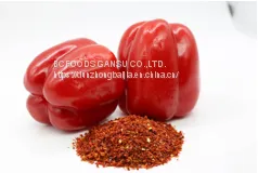 Onion Powder photo-3