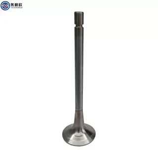 Exhaust Valve Intake Valve Brake Valve OM457 OM460 OM501 OM502 A5410530101