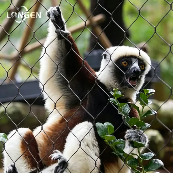 High Strength Stainless Steel Zoo Mesh for Tiger, Lion, Leopard, Monkey Enclosure Mesh Zoo Fence photo-2