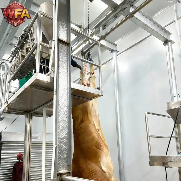 Small Cattle Abattoir Setup 50 Head Per Day Commercial Beef Processing Plant Evisceration Line Slaughter Equipment Price List photo-4