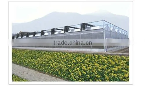 Commercial Polycarbonate Greenhouse photo-3