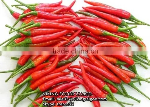 Fresh/Dried/Frozen/Powder Red Hot Chili From Vietnam! photo-3