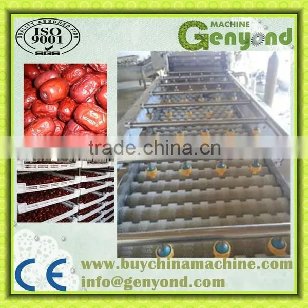 Dates Washer ,sorter, Drier Production Line