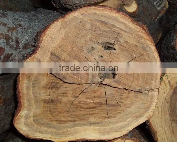 HIGH GRADE WILD HARVEST Sandalwood Log